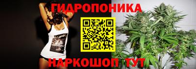 ECSTASY Абакан