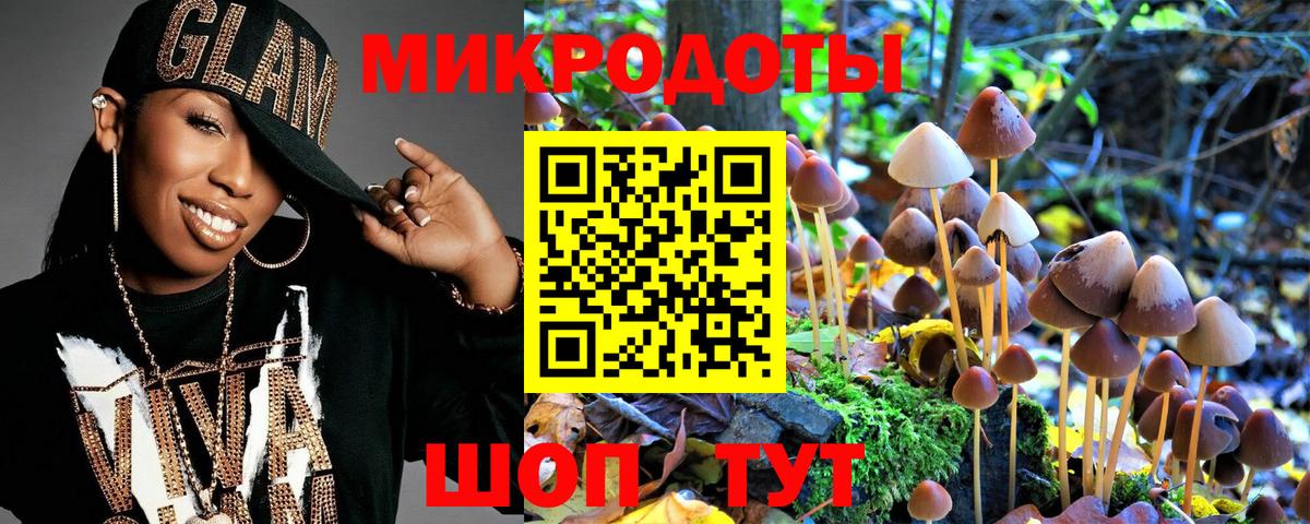 Псилоцибиновые грибы GOLDEN TEACHER Ставрополь